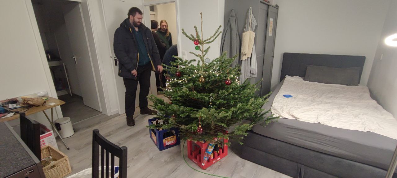 Baum in Rudis Zimmer