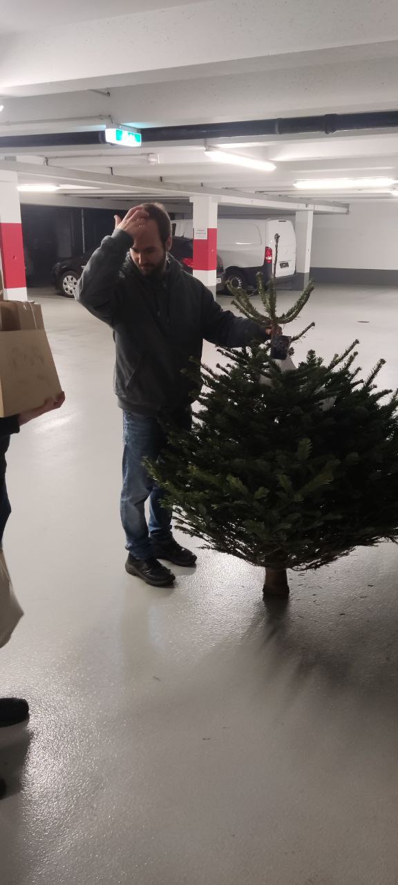 Rudi begutachtet freudig seinen neuen Weihnachtsbaum