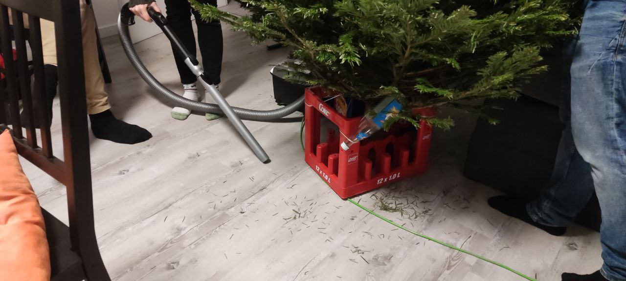 Baum in Rudis Wohnung