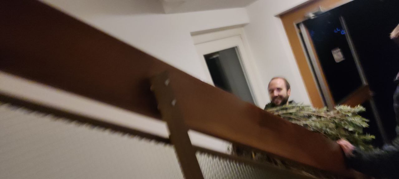 Rudi mit Rudibaum auf der Treppe