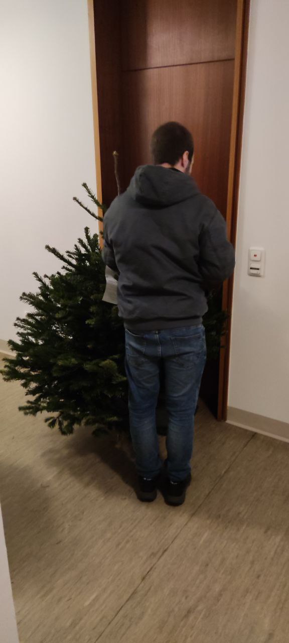 Rudis Baum vor Rudis Wohnung mit Rudi vor Rudis Wohnung