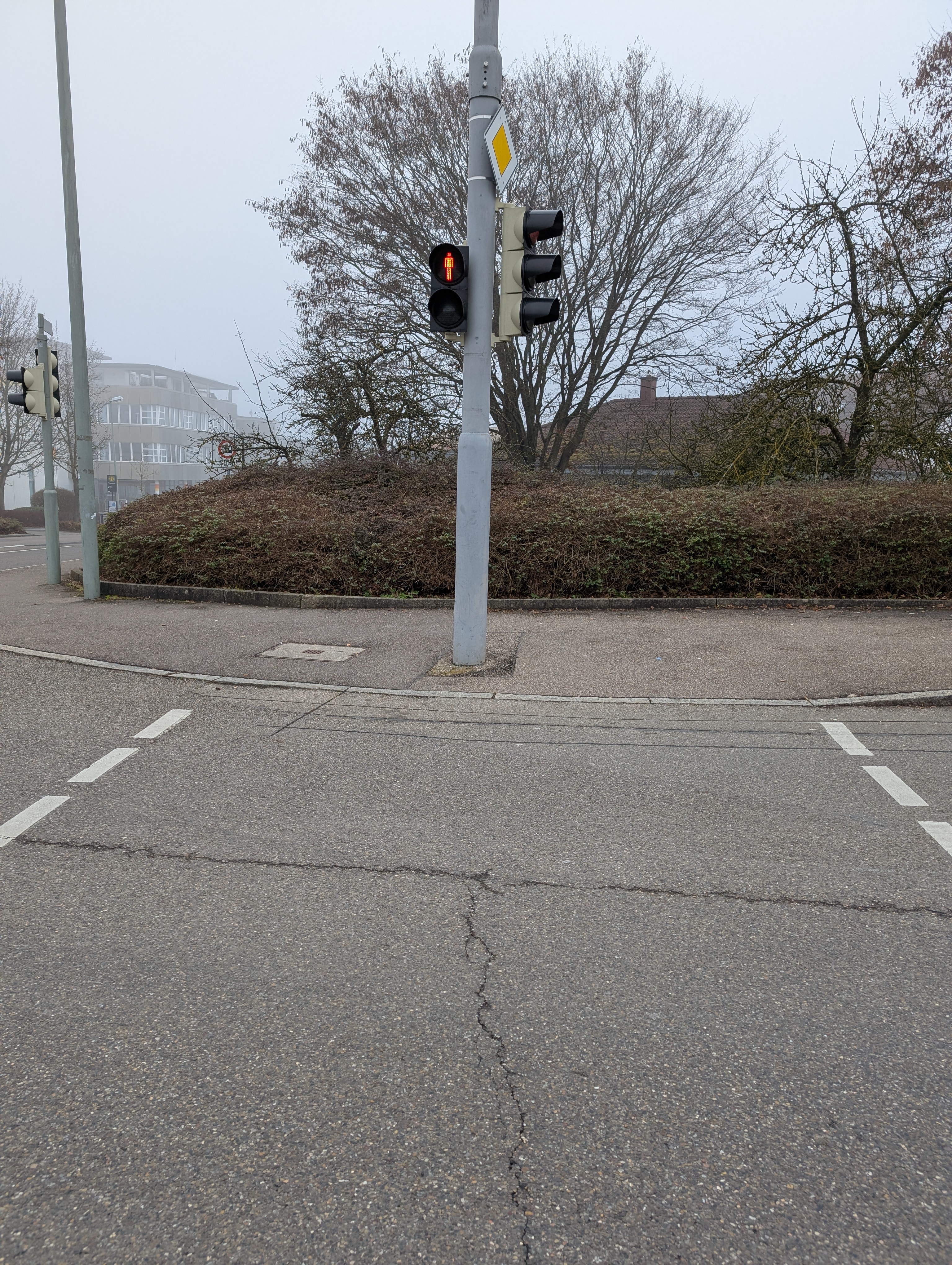 Eine Heimreise